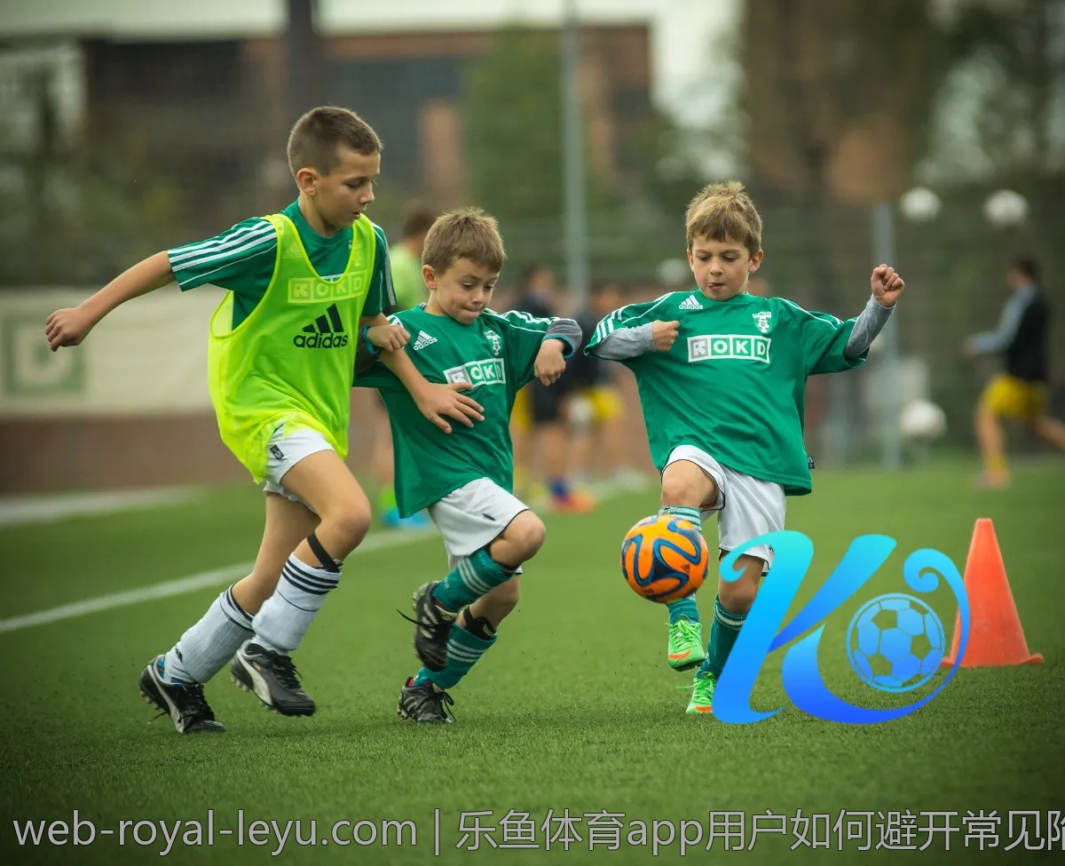 乐鱼体育app用户如何避开常见陷阱？