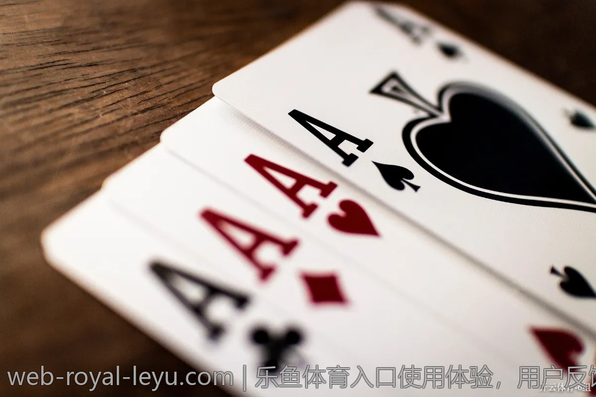 乐鱼体育入口使用体验，用户反馈全记录