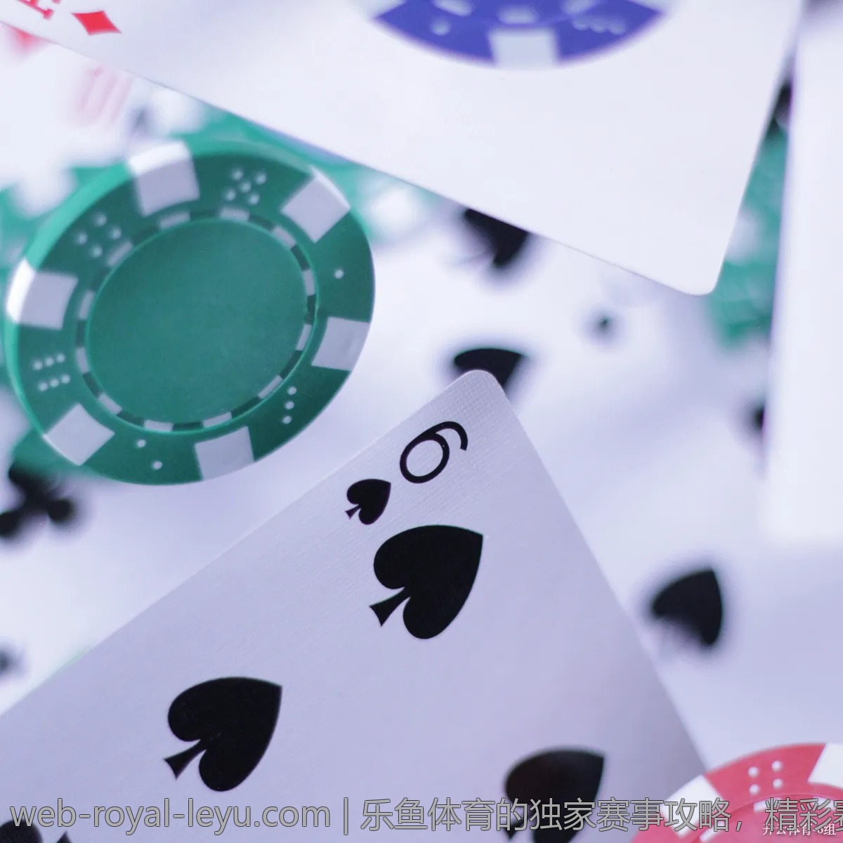 乐鱼体育的独家赛事攻略，精彩赛程等你参与