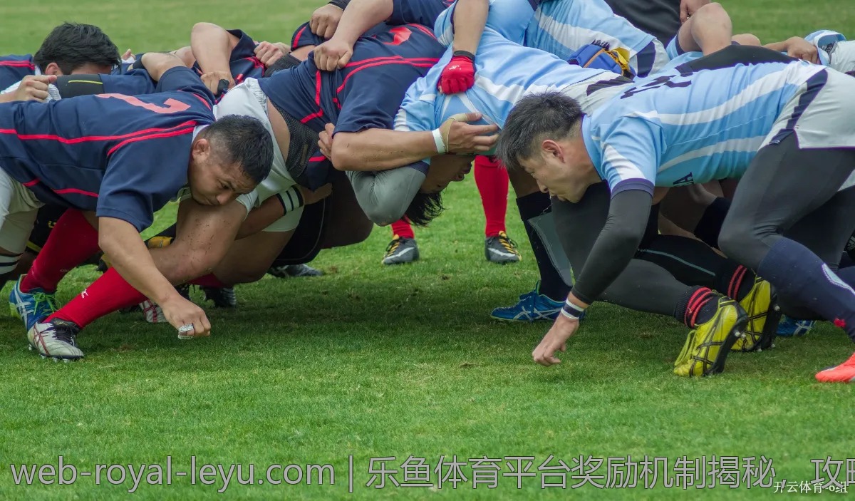 乐鱼体育平台奖励机制揭秘，攻略分享