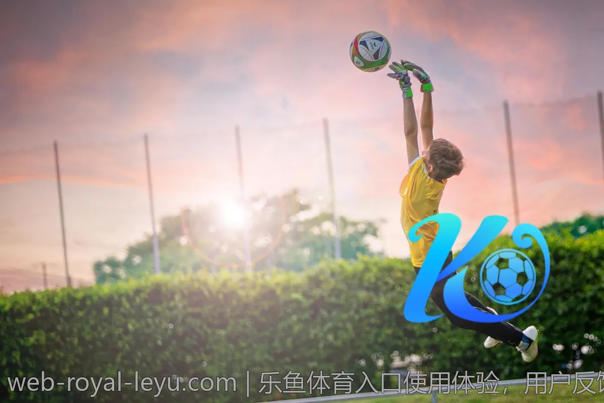 乐鱼体育入口使用体验，用户反馈全记录