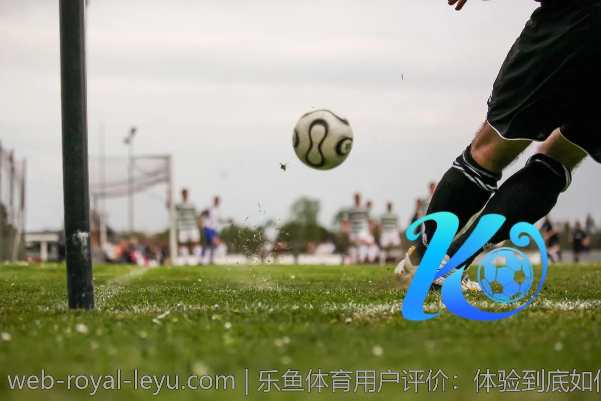 乐鱼体育高频活动盘点，线上比赛别错过